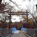 둘리쌍문공원 유아숲체험장 | [둘리근린공원&amp;둘리뮤지엄] 울창한 숲 속 아기공룡 둘리와 함께 하는 신나는 여행