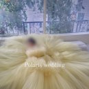 광택쟁이 | [Wedding.16] 깐깐쟁이 예비신부의 폴라리스 촬영가봉 대대대만족 후기, 유색1+슬림, 풍성 화이트3 벌