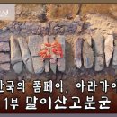 L-1 이미지