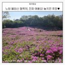 노원동화타운경로당 | 서울 노원 불암산 철쭉제 지금 어때요? 평일 나들이 후기