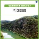 자연청람