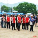 금산중앙초등학교 이미지