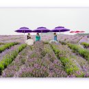 장성공원2 이미지