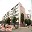 화남1차 네이버블로그