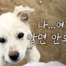 주인농장 이미지