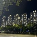 아기랑 수영 저녁 산책｜이흥용과자점, 행복한느림보 카스테라 후기