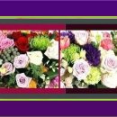 순천평화병원 이미지