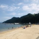 충청건어물