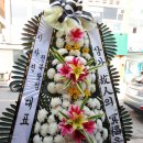 임실꽃화원 이미지