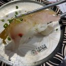 도쿄이찌바 Daum카페
