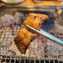 갈릴리농원수산B | 파주 장어 맛집 ➡️ 파주 갈릴리농원 내돈내산후기🧡