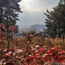 대부해솔길 7-1코스 이미지