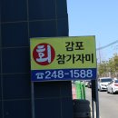 감포참가자미 이미지