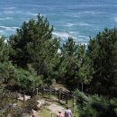 고래불쉼터 이미지