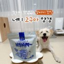 토탈사운드 | 강아지양갱 단호박 너티 사운드 냠 후기
