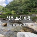 정든민박 | 대구 근교 계곡 추천 - 성주 포천계곡 아이 동반 다슬기 물놀이 후기