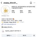 퍼피비스킷 이미지