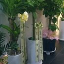 서울닥터한치과의원 이미지