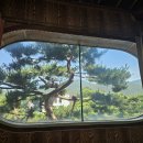 카페꽃뫼 | [강화도 까페추천] 정원이 너무 예쁜 까페꽃뫼 내돈내산 찐후기(아이와가기도 좋아요)