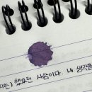 비온뒤 새틴노트(마일드크림) 후기