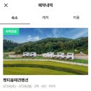 비숑명가 | 홍천 애견동반 펜션 내돈내산 | 펫티움애견펜션 2박3일 후기