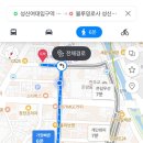 블루밍로사