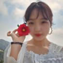 전망대길 4 이미지