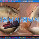 20240925 파주 삼방낚시터 월척붕어/붕어/향어 입질, 챔질, 랜딩 "인증샷" 아침낚시/짬낚시, 저녁낚시/짬낚시, 붕어 팅!팅!팅! 이미지