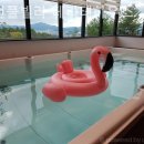 춘천풀빌라 테라테하우스 이미지