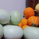 담비농장 이미지