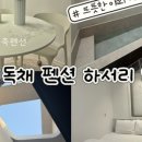 하서리316 이미지