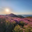 179차 5/11(일)익산보석산악회 황매산(경남합천)산행안내or예약방 이미지