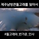제주영상문화연구원 이미지