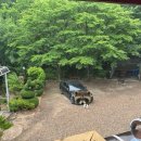 해뜰무렵 이미지