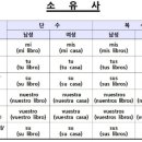 서재중앙약국 이미지
