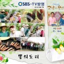 참뽕 이미지