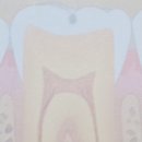 굿닥터치과의원 이미지