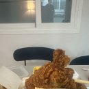 대명카서비스 | [7월 BBQ 황올반마리 증정 프로모션 후기] BBQ 대구대명점