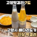 로컬푸드 사거리 | 고양막걸리 7도 고양시 배다리도가 신상 막걸리
