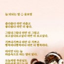 사화로 이미지