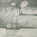 유니나크린 이미지