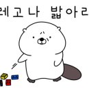구사오 이태리퀴진