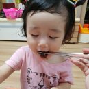 아빠가싸준꼬마김밥 이미지