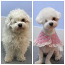 킨더그루밍 이미지