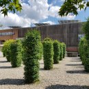 밀레니엄 이미지