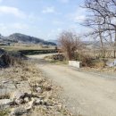 장성닭집 이미지