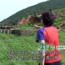 용두축사 이미지