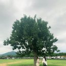 진일식품 이미지