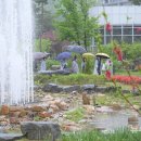 도화길 이미지