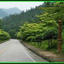 함평자연생태공원 이미지